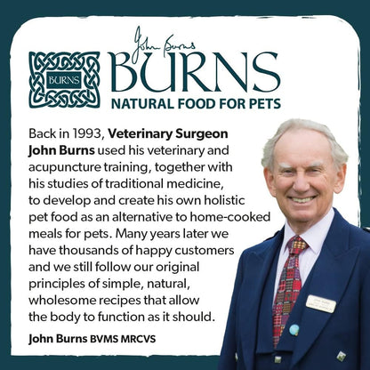 Burns Pet Nutrition Hypoallergenic Complete Dry Dog Food Adult and Senior Dog Original Lamb and Brown Rice 12 kg