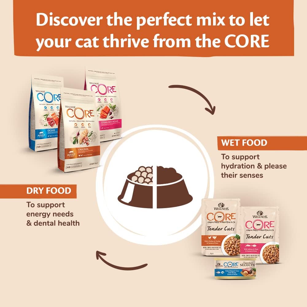Wellness CORE Sterilised Original 4 kg, Chicken & Turkey – Dry Cat Food for Sterlised/Indoor Cats, Grain-Free, Natural, Hypoallergenic, Protein-Rich, Supports Healthy Weight Management