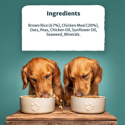 Burns Pet Nutrition Hypoallergenic Complete Dry Dog Food Adult and Senior Dog Original Chicken and Brown Rice 12 kg