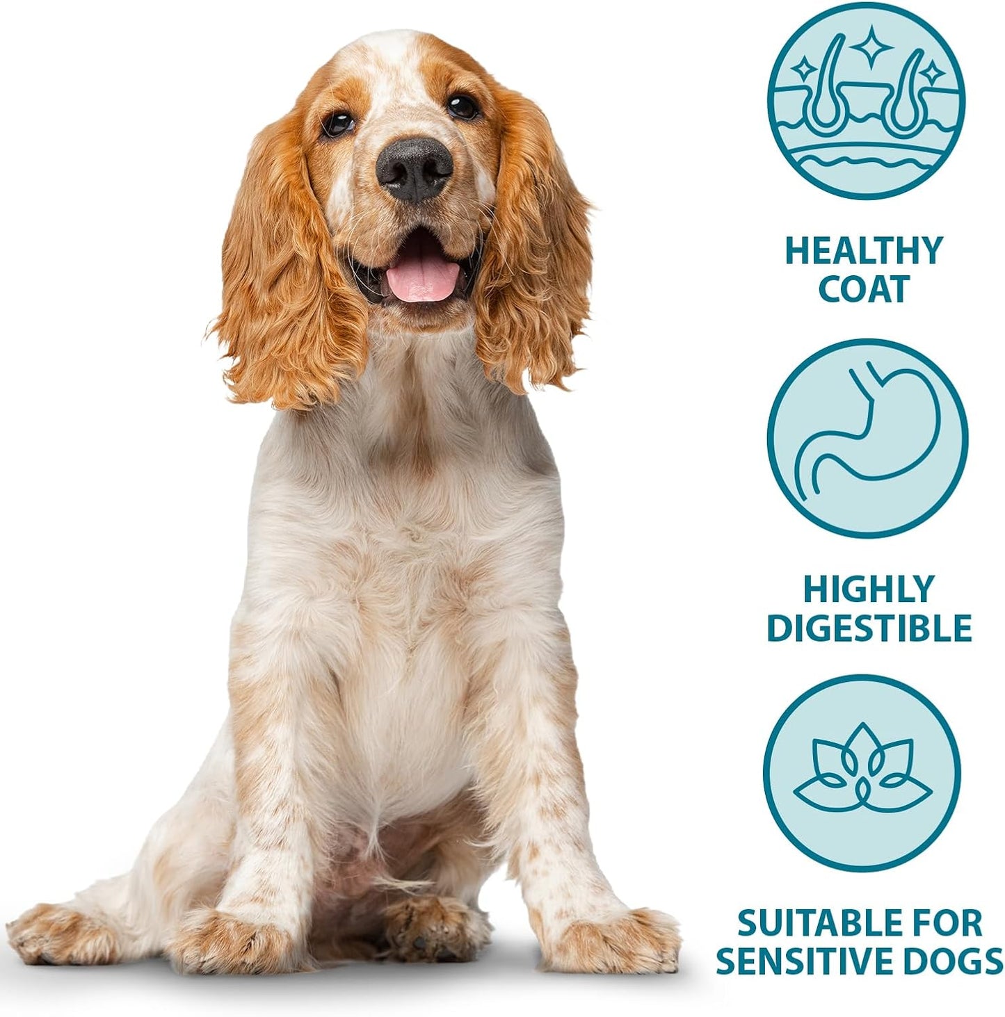 Burns Pet Nutrition Hypoallergenic Complete Dry Dog Food Adult and Senior Dog Sensitive with Pork and Potato 12 kg