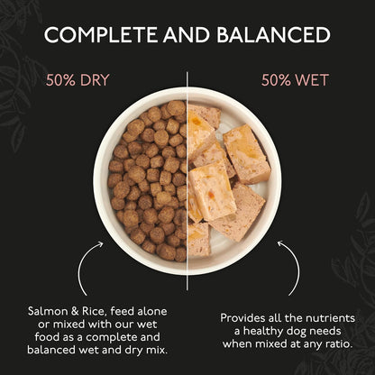 Skinners Field & Trial Salmon & Rice 15kg , Complete Dry Adult Working Dog Food, Gentle Digestion, Glossy Coat