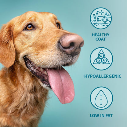 Burns Pet Nutrition Hypoallergenic Complete Dry Dog Food Adult and Senior Dog Original Chicken and Brown Rice 12 kg
