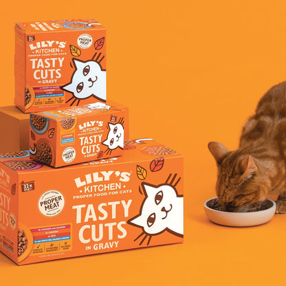 Lily’s Kitchen Tasty Cuts in Gravy Complete Nutrition, Cat Wet Food Multipack (48x85g) Tins for Adult Cats, With Freshly Prepared Meat & Offal, Grain-free Recipe, Suitable for Sterilised Cats