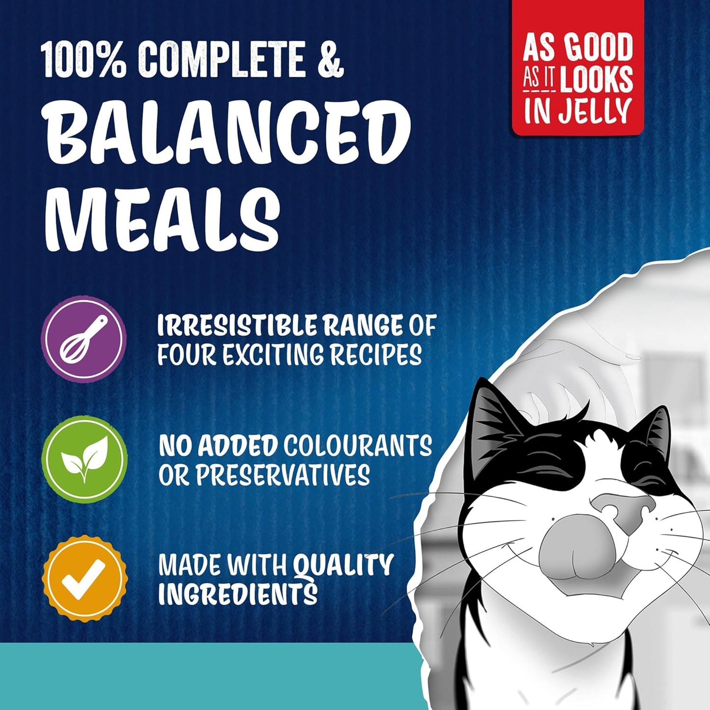 FELIX As Good As it Looks Adult Wet Cat Food Ocean Feasts in Jelly Plaice, Salmon, Tuna, Cod 120 x 85g Pouches