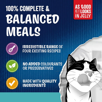 FELIX As Good As it Looks Adult Wet Cat Food Ocean Feasts in Jelly Plaice, Salmon, Tuna, Cod 120 x 85g Pouches