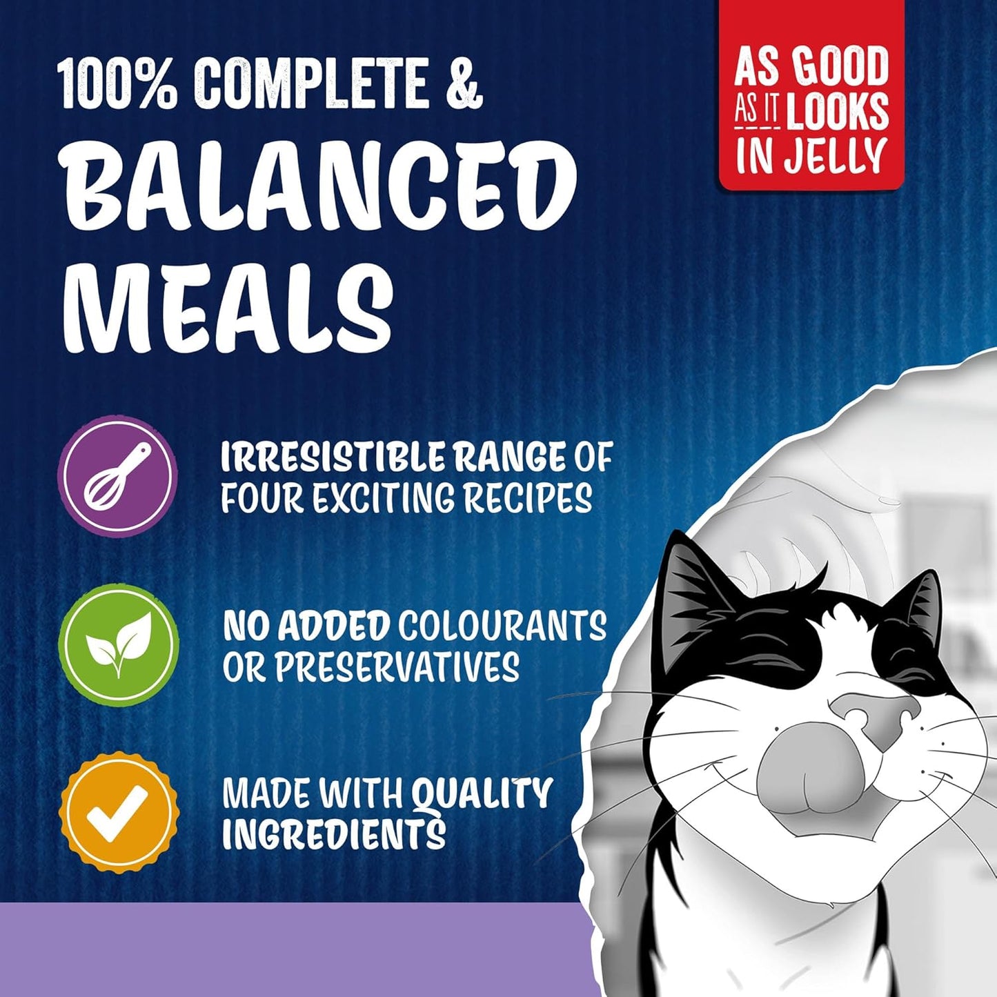 FELIX As Good As it Looks Senior 7+ Mixed in Jelly Wet Cat Food 120x85g