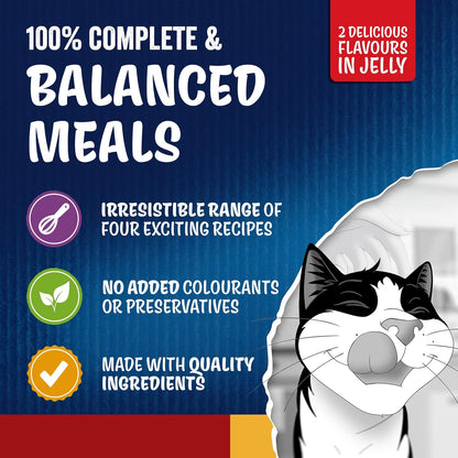 FELIX Doubly Delicious Countryside Selection in Jelly Wet Cat Food 40x85g