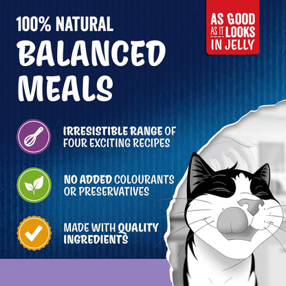 FELIX As Good As it Looks Favourites Selection in Jelly Wet Cat Food 120x85g