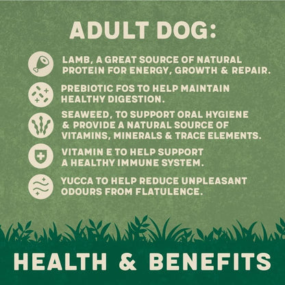 Harringtons Complete Dry Adult Dog Food Lamb & Rice 15kg - Made with All Natural Ingredients