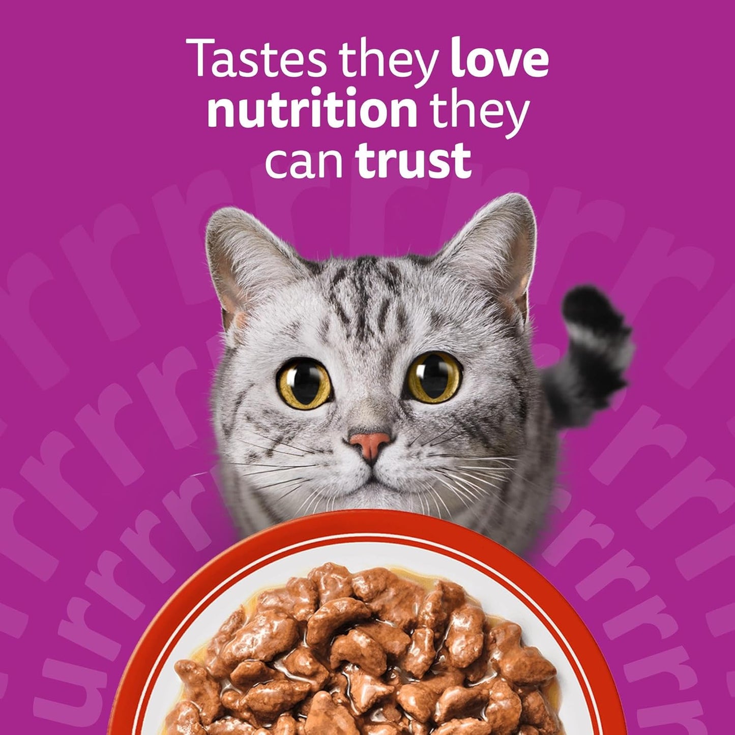 whiskas 1+ Adult Classic Selection in Gravy 84 Pouches, Adult Wet Cat Food, Megapack (84 x 85 g)