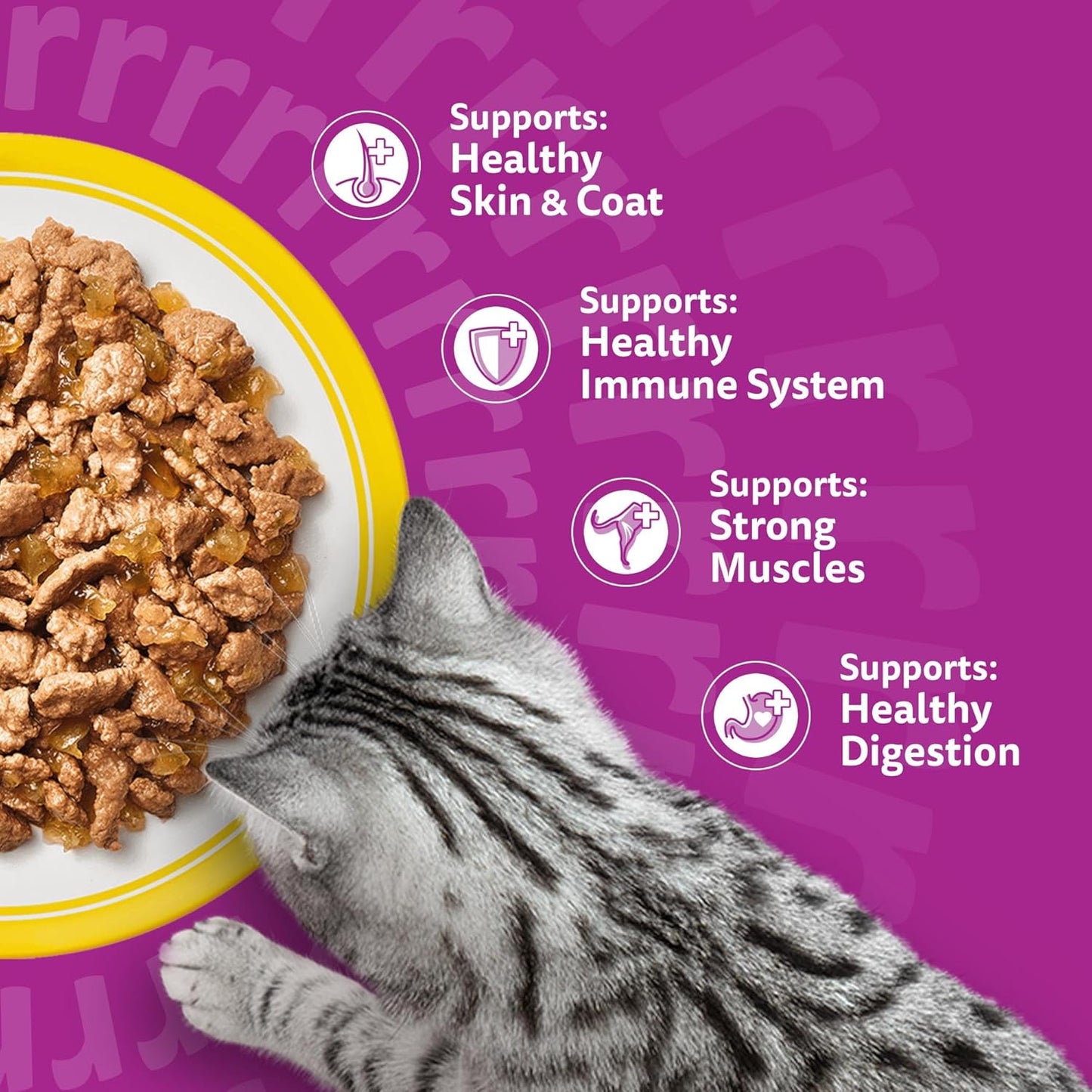 WHISKAS Adult Wet Cat Food in Jelly 40x85g Poultry Feasts
