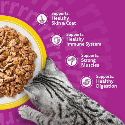 WHISKAS Adult Wet Cat Food in Jelly 40x85g Poultry Feasts